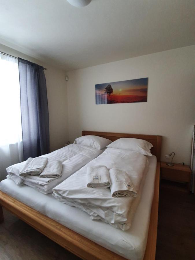 Apartman Praded V Rickach - Ricky V Orlickych Horach ภายนอก รูปภาพ